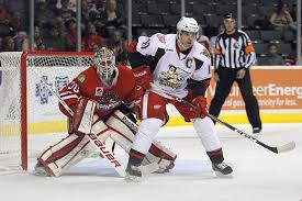 Image result for grand rapids griffins