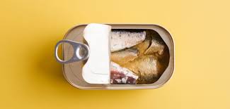 aldi sardinen