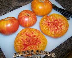 Pineapple heirloom tomato