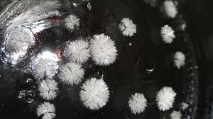 Image result for dmt crystal