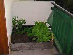 Résultats de recherche d'images pour « jardin potager sur balcon »