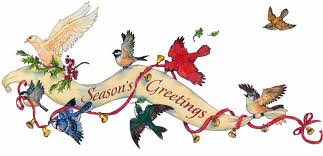 Image result for Season Greetings