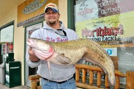 Image result for burbot fish