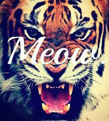 Résultat de recherche d'images pour 