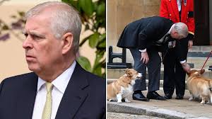 Andrew Mountbatten-Windsor's 'special' bedroom arrangements for Queen Elizabeth's pampered Corgis