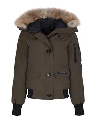 Résultat de recherche d'images pour "canada goose black label womens"