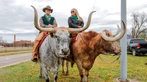 st patricks day parade Picture