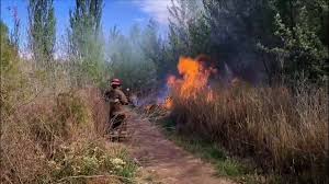 Neuquén: Alerta por Incendio Intencional en Área Protegida - Imagen principal del artículo