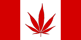 Resultado de imagen de Legalization