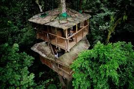 Image result for Costa Rica tropical architecture