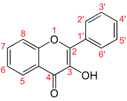 Flavonols