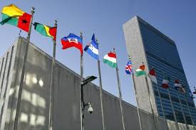 Risultati immagini per onu