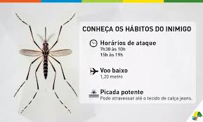 Resultado de imagem para a luta contra o aedes aegypti