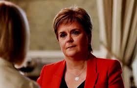 STV News - News update