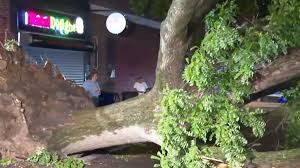 ‘I'm thankful to be alive': Thunderstorms take out trees, disrupt power, subway