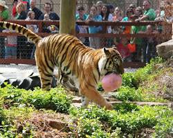 Image of Amarillo Zoo in Amarillo, Texas