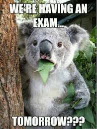 exam quotes on Pinterest | Final Exams, Finals Week and Finals via Relatably.com