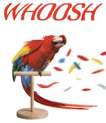 Znalezione obrazy dla zapytania missed joke