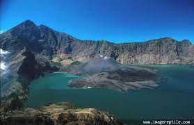 Hasil gambar untuk pecinta alam indonesia