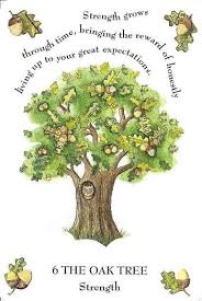 OAK TREE Quotes Like Success via Relatably.com