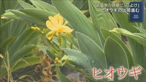 Yahoo!ニュース - News update