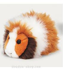 Résultat de recherche d'images pour "cochon d'inde"