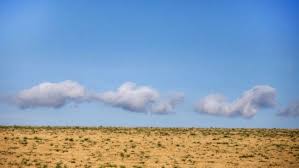 Experten sehen Fortschritte bei Prognosen von Dürre und Co.