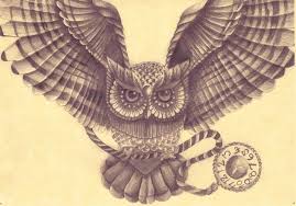 Image result for owl drawings