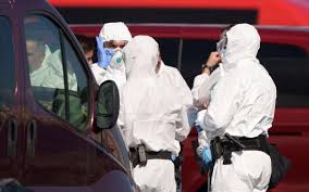 Trend Google: hantavirus veneto