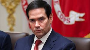 The Daily Beast - News update