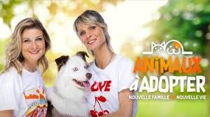 Programme TV Ouest-France - News update