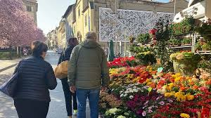 Trend Google: annunziata