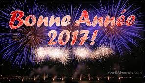 Résultat de recherche d'images pour "bonne année 2017"