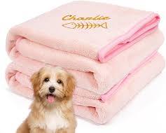 cat and a dog lying on a towel with their names on itの画像