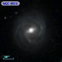 Image result for NGC 4921