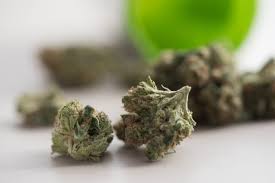 スリランカで僧侶22人拘束、タイから大麻110キロ超を密輸か