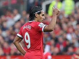 Image result for picture of falcao