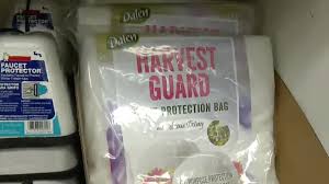 ¿Qué materiales se deben comprar antes de la llegada de la tormenta invernal a Houston? Expertos explican