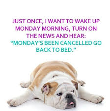 Monday Quotes on Pinterest | Monday Morning Quotes, Monday Morning ... via Relatably.com