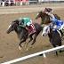 Honor Code rallies to win Saratoga's Whitney
