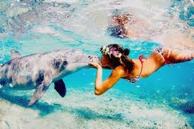 Bilderesultat for we heart it summer