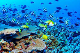 Image result for pictures gallery for amazing places of the world