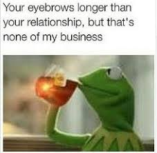 KERMIT on Pinterest | Frogs, Meme and Business via Relatably.com