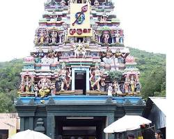 Image of Pazhamudir Cholai, Madurai