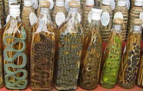 Image result for Snake wine
