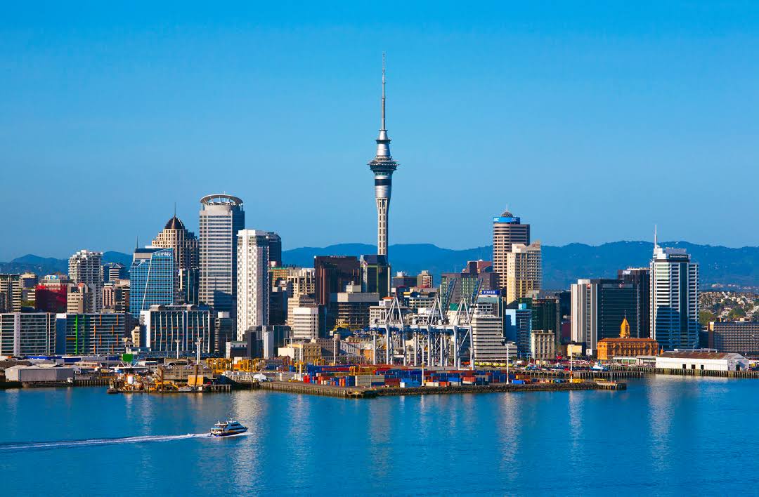 sydney to new zealand google flights