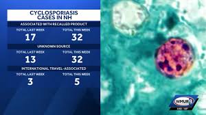Confirmed cyclosporiasis cases in New Hampshire more than double