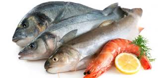 Resultado de imagen para comidas pescado
