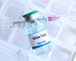 Yellow fever vaccine resmi