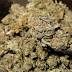 New York State Awards 5 Medical Marijuana Licenses